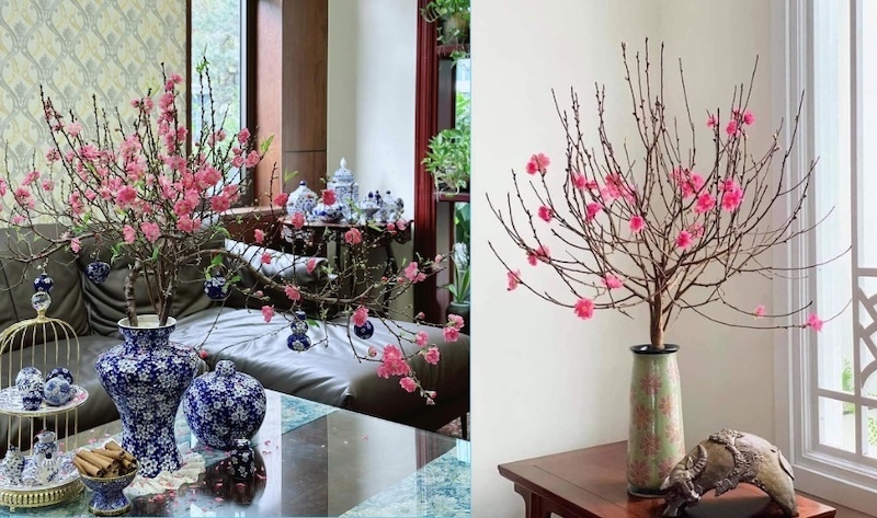 Hoa đào tượng trưng cho tinh hoa ngũ hành của trời đất