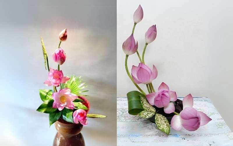 Hoa sen sẽ mang lại cảm giác bình an trong năm mới