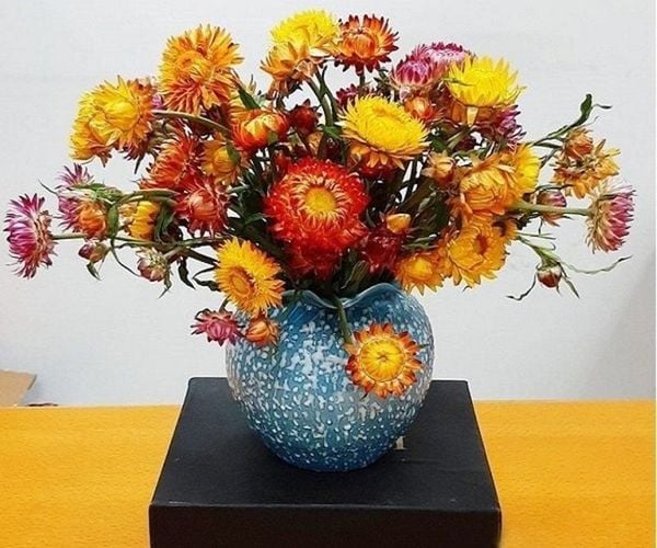 Hoa bất tử thường được lựa chọn trong các dịp lễ Vu Lan, Thanh Minh