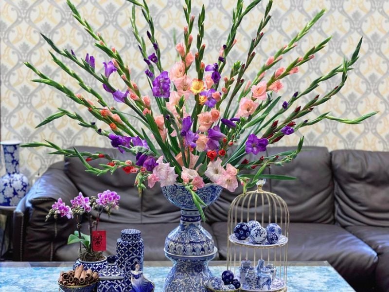 Hoa lay ơn rất tốt trong việc mang đến năng lượng tích cực cho căn nhà