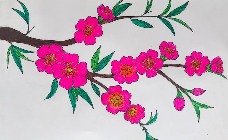 Ý tưởng vẽ thiệp tết đơn giản với họa tiết hoa mai và hoa đào