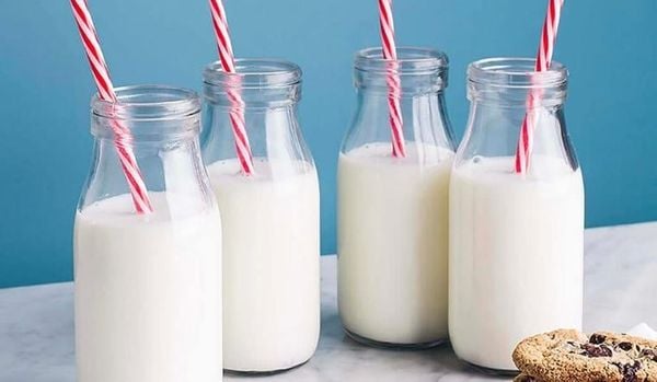 Sua Mlekovita ho tro tieu hoa, han che day hoi