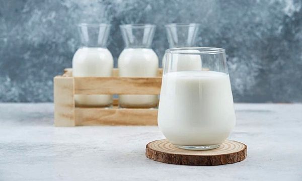 dam A2 tot cho he tieu hoa