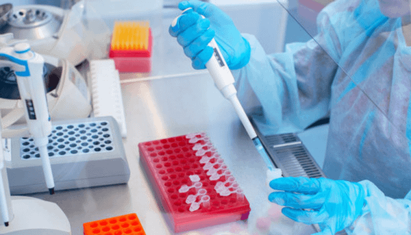 kiem nghiem gen bo thuan chung