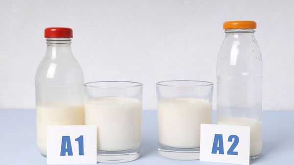 su khac nhau giua sua A2 voi sua A1