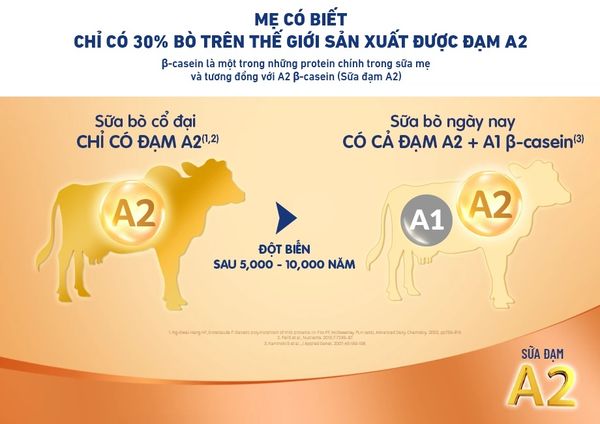 Đạm A2 giúp bé không bị đầy hơi, khó tiêu