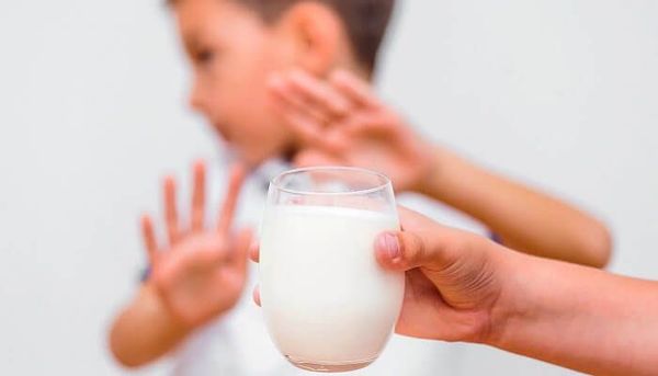 Sua tuoi A2 cho nguoi di ung sua