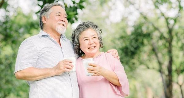 sua dam A2 cho nguoi gia