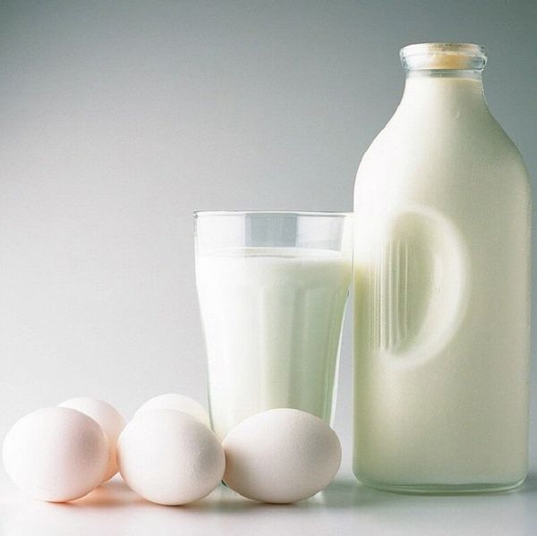 dam A2 ho tro tieu hoa