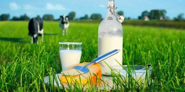 Hop tac phan phoi sua tuoi Mlekovita tai Viet Nam