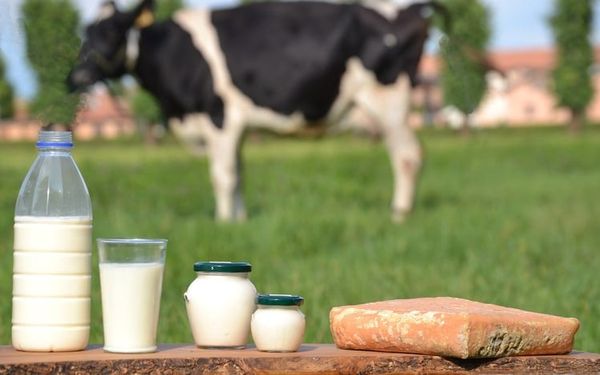 Sua Mlekovita it beo dap ung day du cac yeu cau ve suc khoe