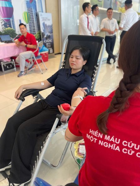 Hình ảnh bài viết