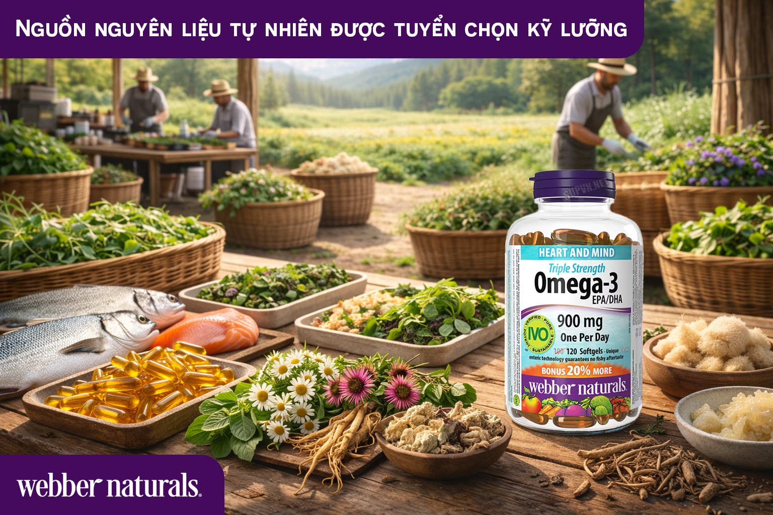 nguon-nguyen-lieu-tu-nhien-webber-naturals