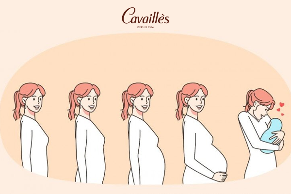 Lựa chọn dung dịch vệ sinh phù hợp theo từng giai đoạn thai kỳ