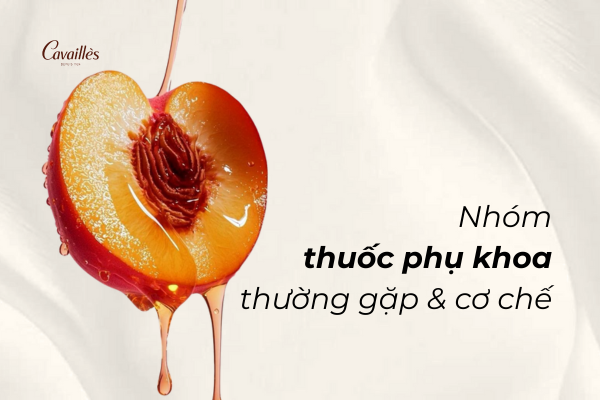 Các nhóm thuốc phụ khoa thường gặp và cơ chế tác dụng