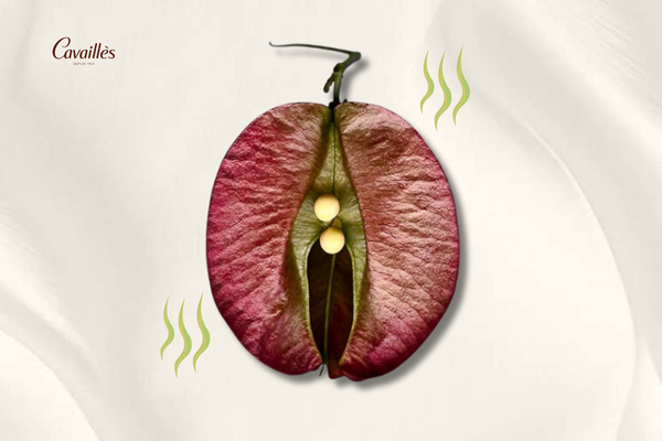 Nguyên nhân sinh lý khiến vùng kín có mùi khi quan hệ