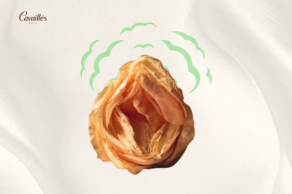 Nguyên nhân bệnh lý — Khi mùi là dấu hiệu cảnh báo