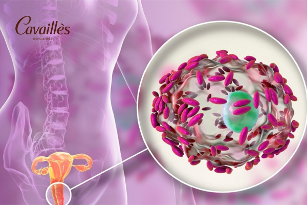 Cách duy trì hệ vi khuẩn có lợi và ngăn viêm nhiễm âm đạo