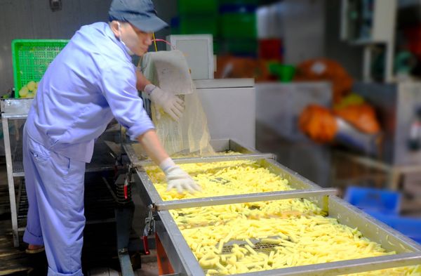 Công nhân thực hiện khâu sơ chế, cắt que khoai tây tươi đảm bảo kích thước đồng đều