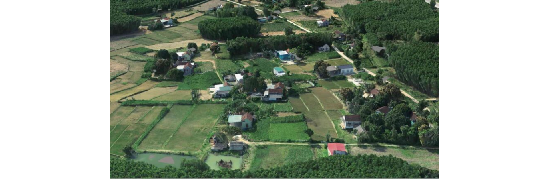 Point Cloud là gì? Các thành phần và ứng dụng thực tế