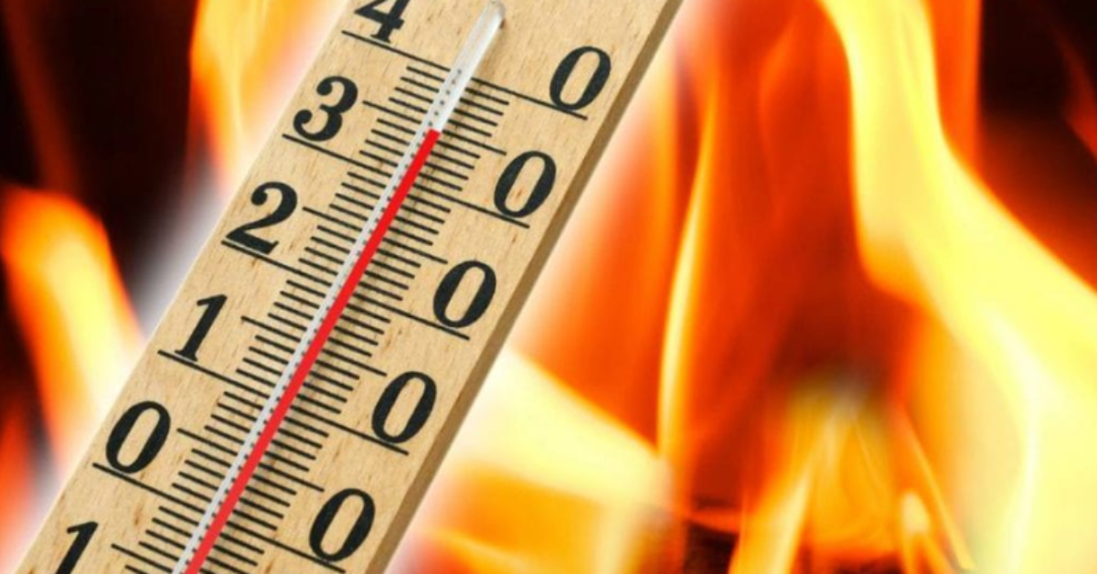 So sánh PLA và ABS: Hướng dẫn chọn vật liệu in 3D tốt nhất