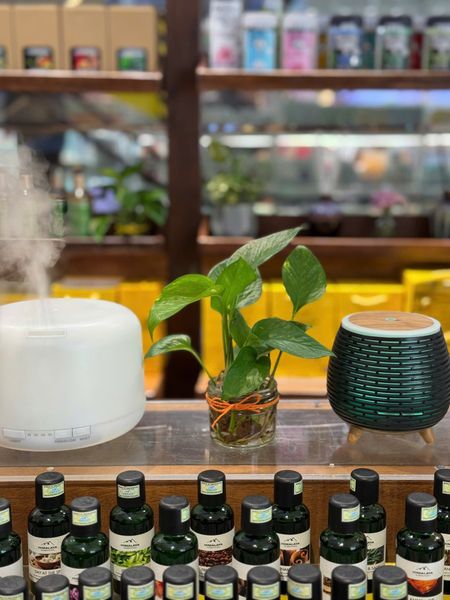 góc nào cũng có cây xanh của Himalaya