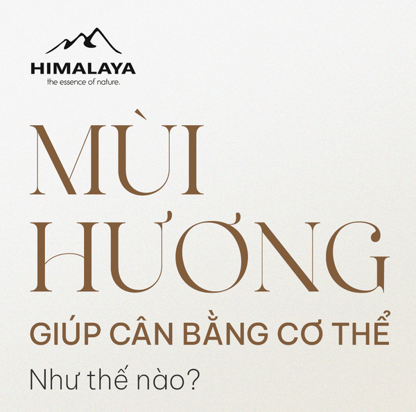 mùi hương cân bằng cơ thể như thế nào