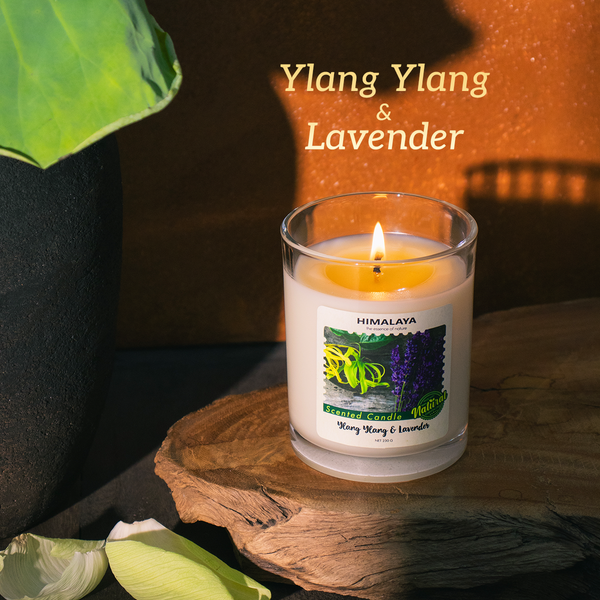 Hương tháng 9 Himalaya, Nắng thu Ylang Ylang lavender
