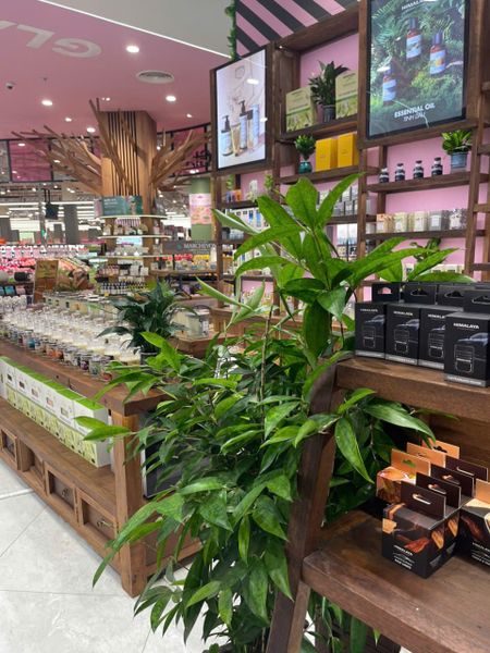 Khai trương Himalaya AEON Tân An