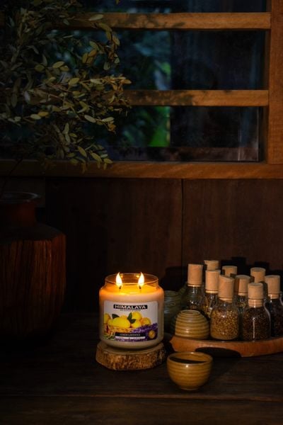 khứu giác và vị giác