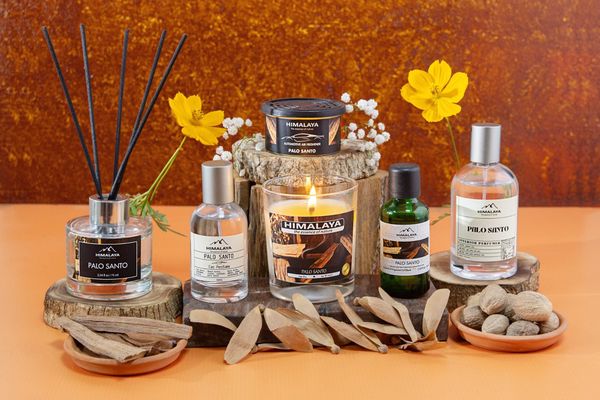 chọn hương palo santo cho tết