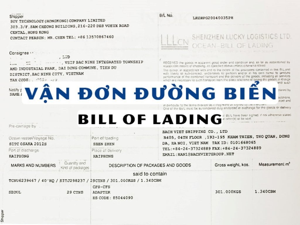 Hợp đồng bảo hiểm hàng hóa xuất nhập khẩu đi kèm vận đơn