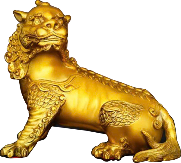 Hình ảnh bài viết