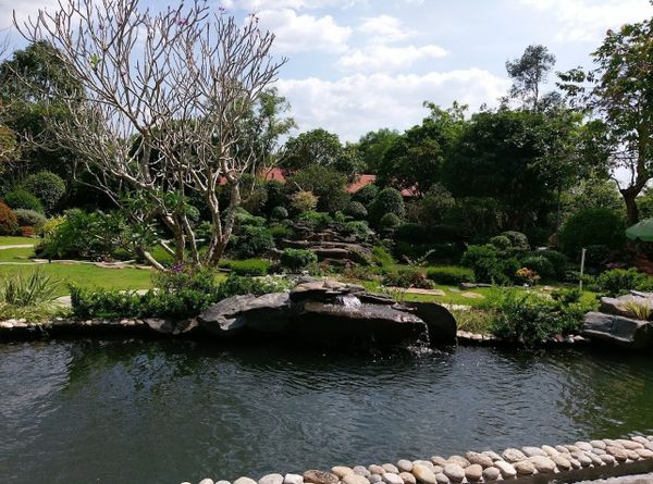 Hình ảnh bài viết