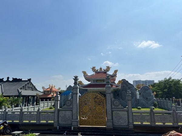 Hình ảnh bài viết