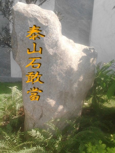 Hình ảnh bài viết