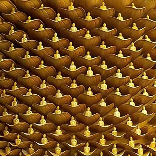 Hình ảnh bài viết