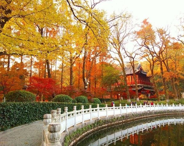 Cảnh sắc Trung Quốc thay đổi theo bốn mùa trong năm