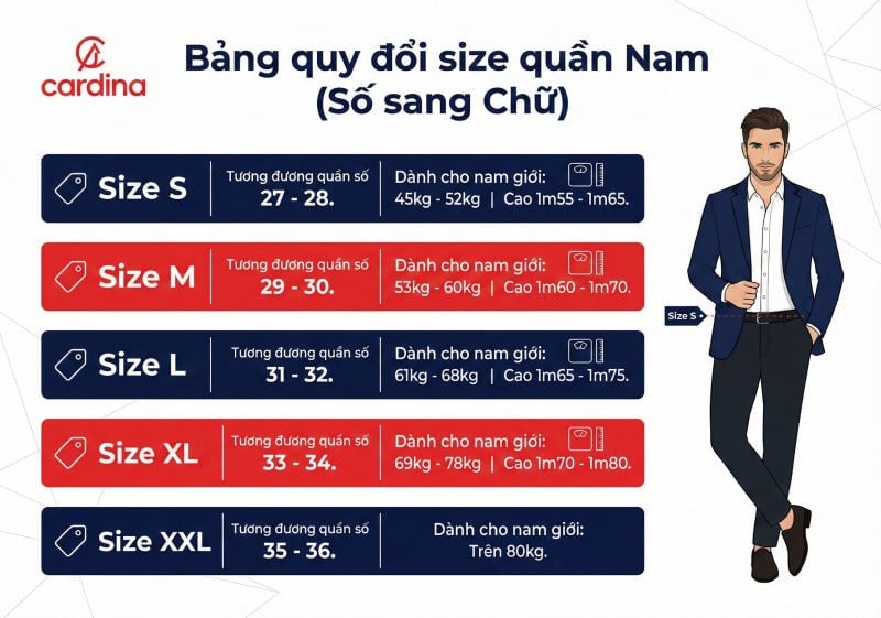 size s, m, l, xl, xxl