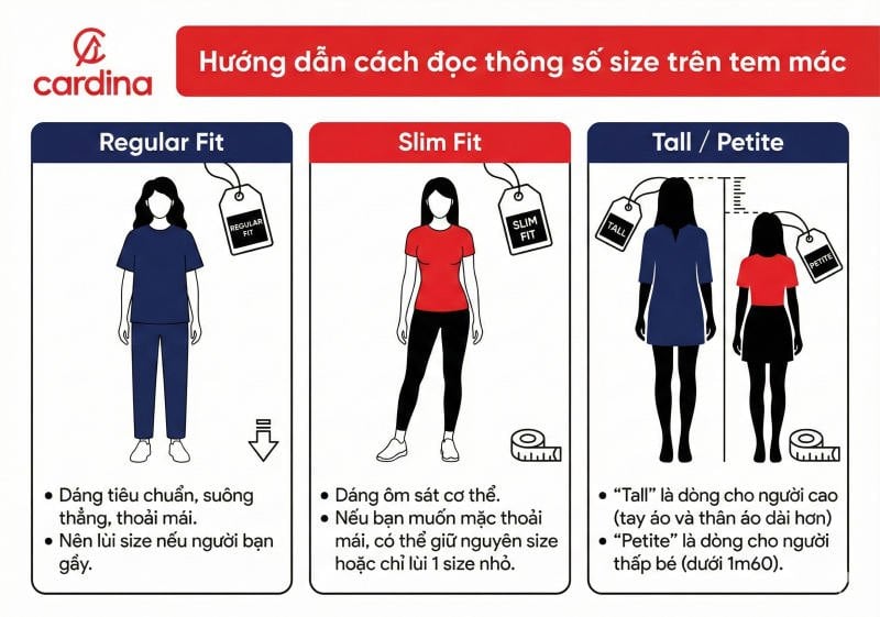 size s, m, l, xl, xxl