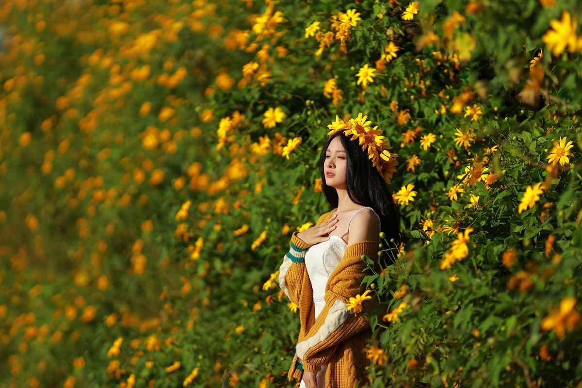 chụp ảnh hoa dã quỳ