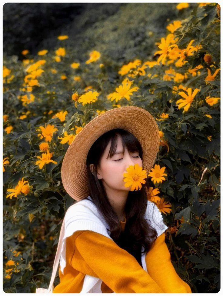 chụp ảnh hoa dã quỳ
