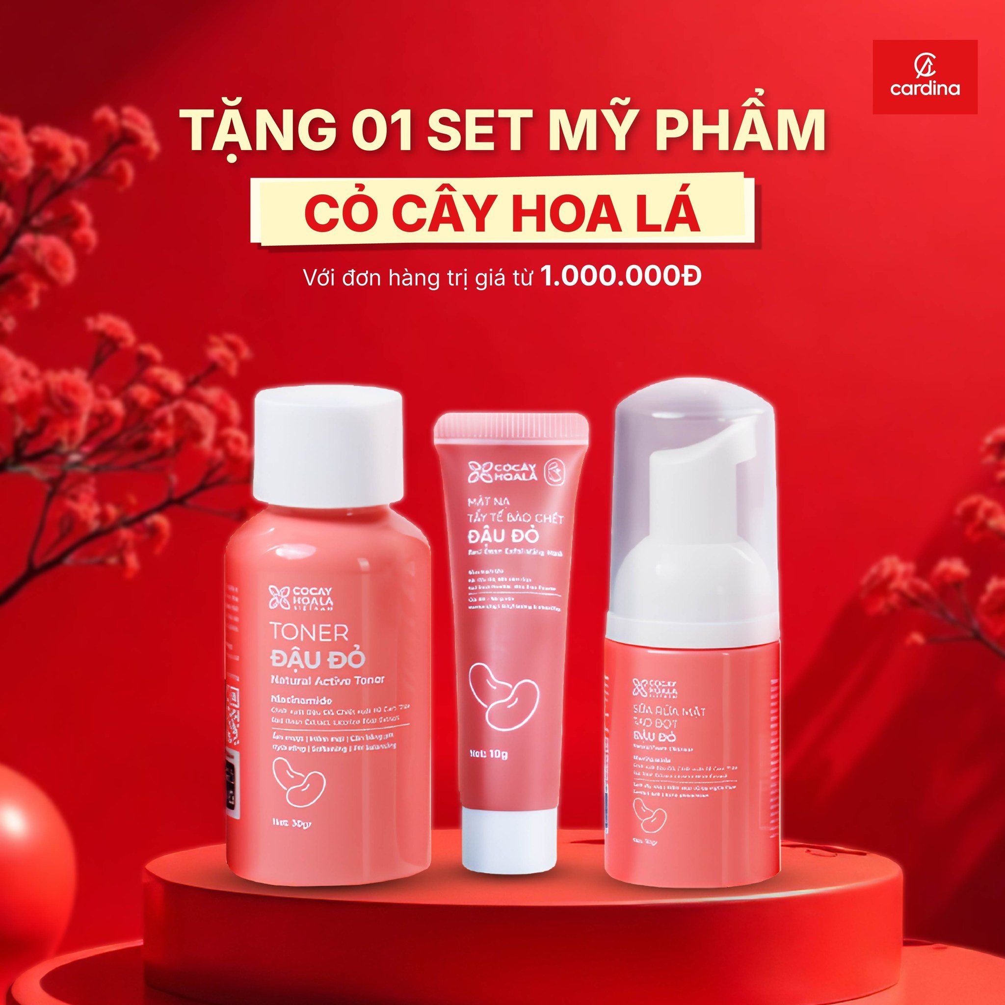 CARDINA ĐỒNG LOẠT KHAI TRƯƠNG 5 SHOWROOM MỚI