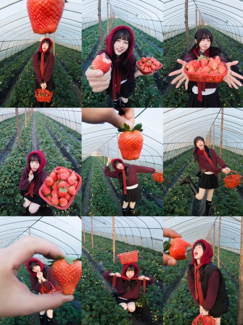 Nguyên tắc chọn đồ khi đi vườn dâu bạn cần biết