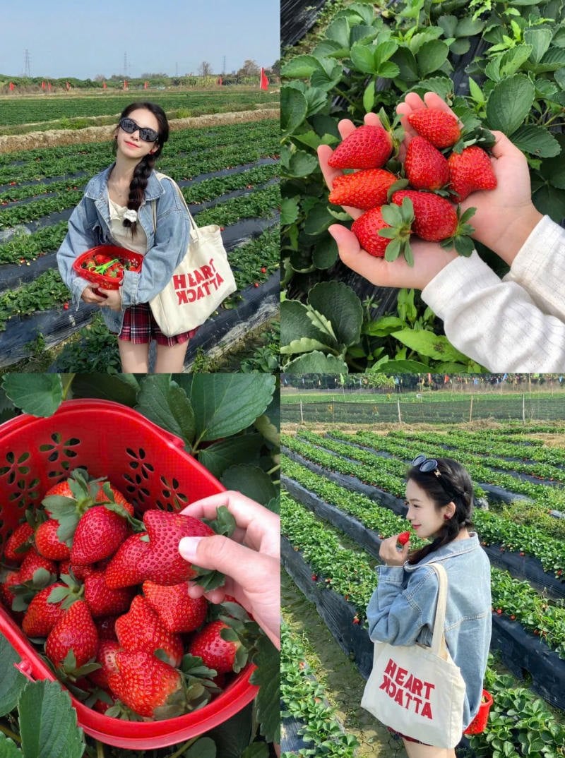 Kiểu dáng năng động, dễ dàng di chuyển