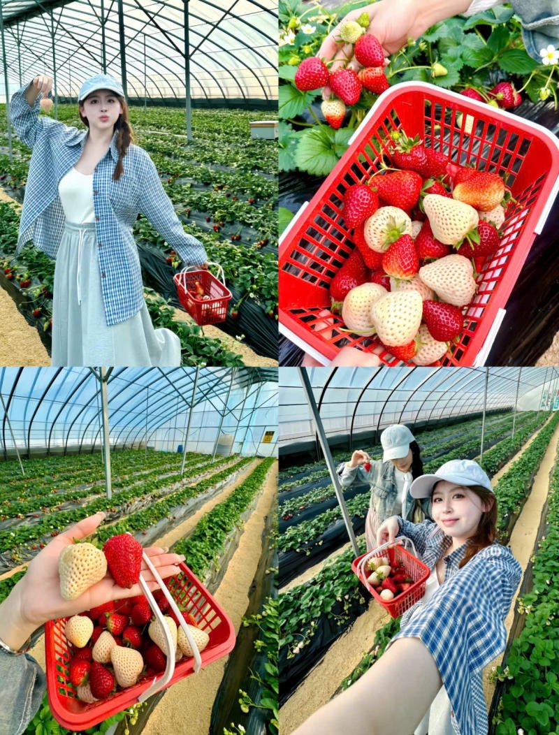 Sơ mi oversize khoác ngoài áo hai dây