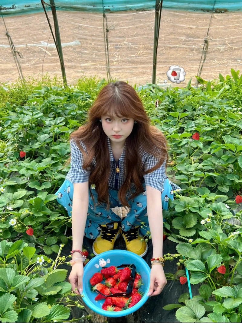 Phụ kiện không thể thiếu để hoàn thiện set đồ đi vườn dâu