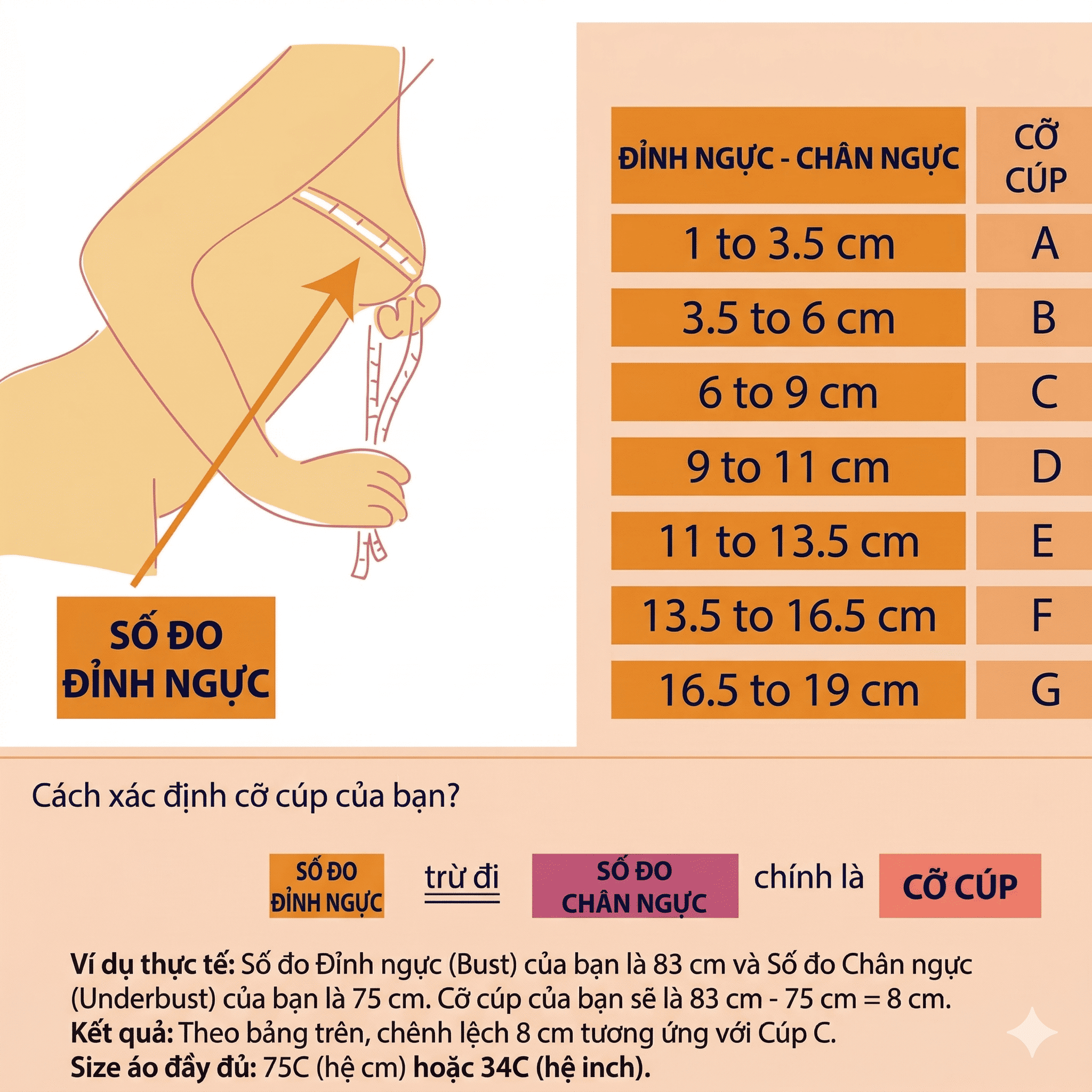 bảng size áo ngực chuẩn