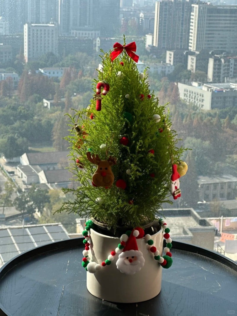 cách làm cây thông noel