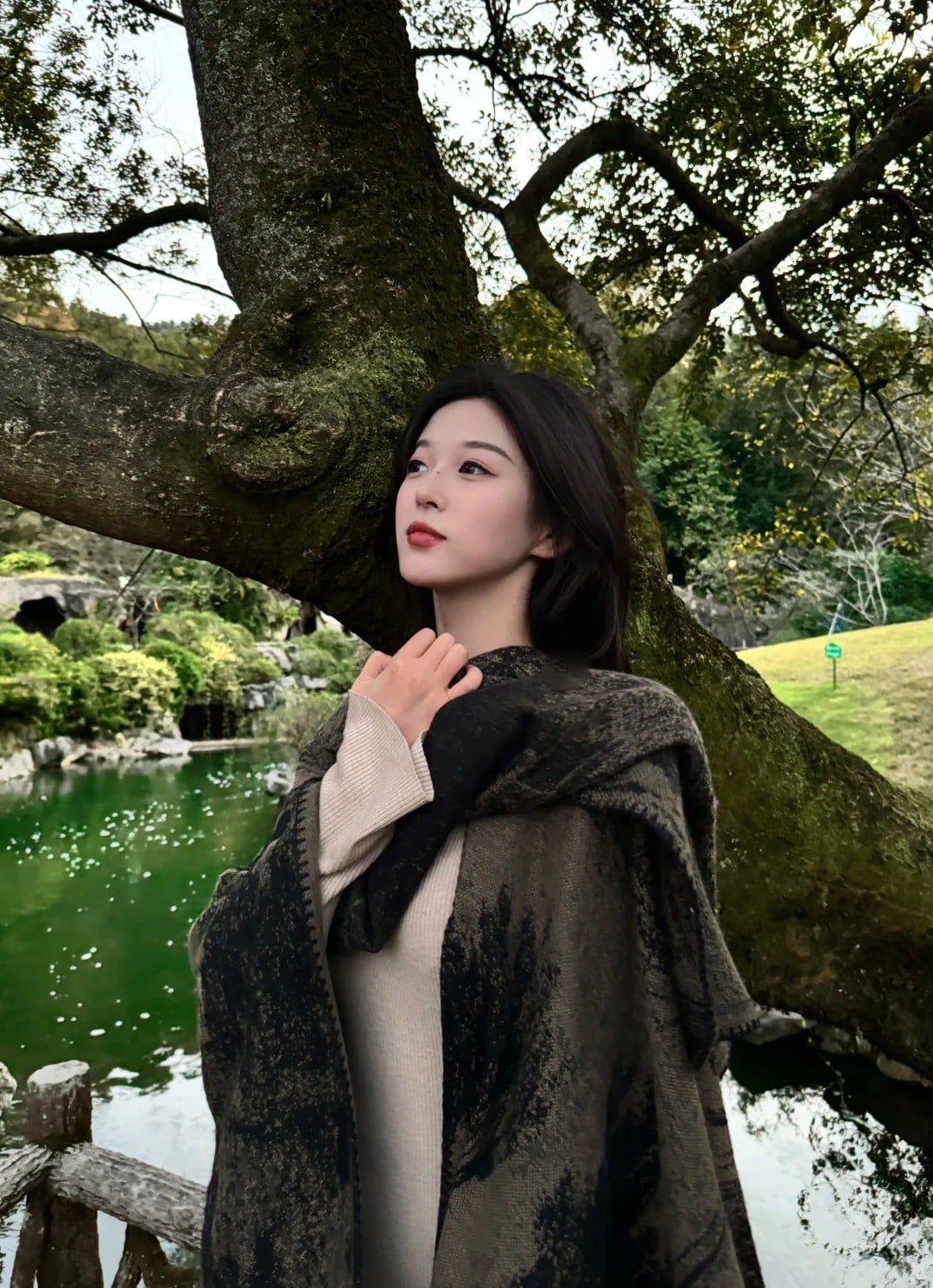 19. Tư thế tựa cây, ngước nhìn lên cao